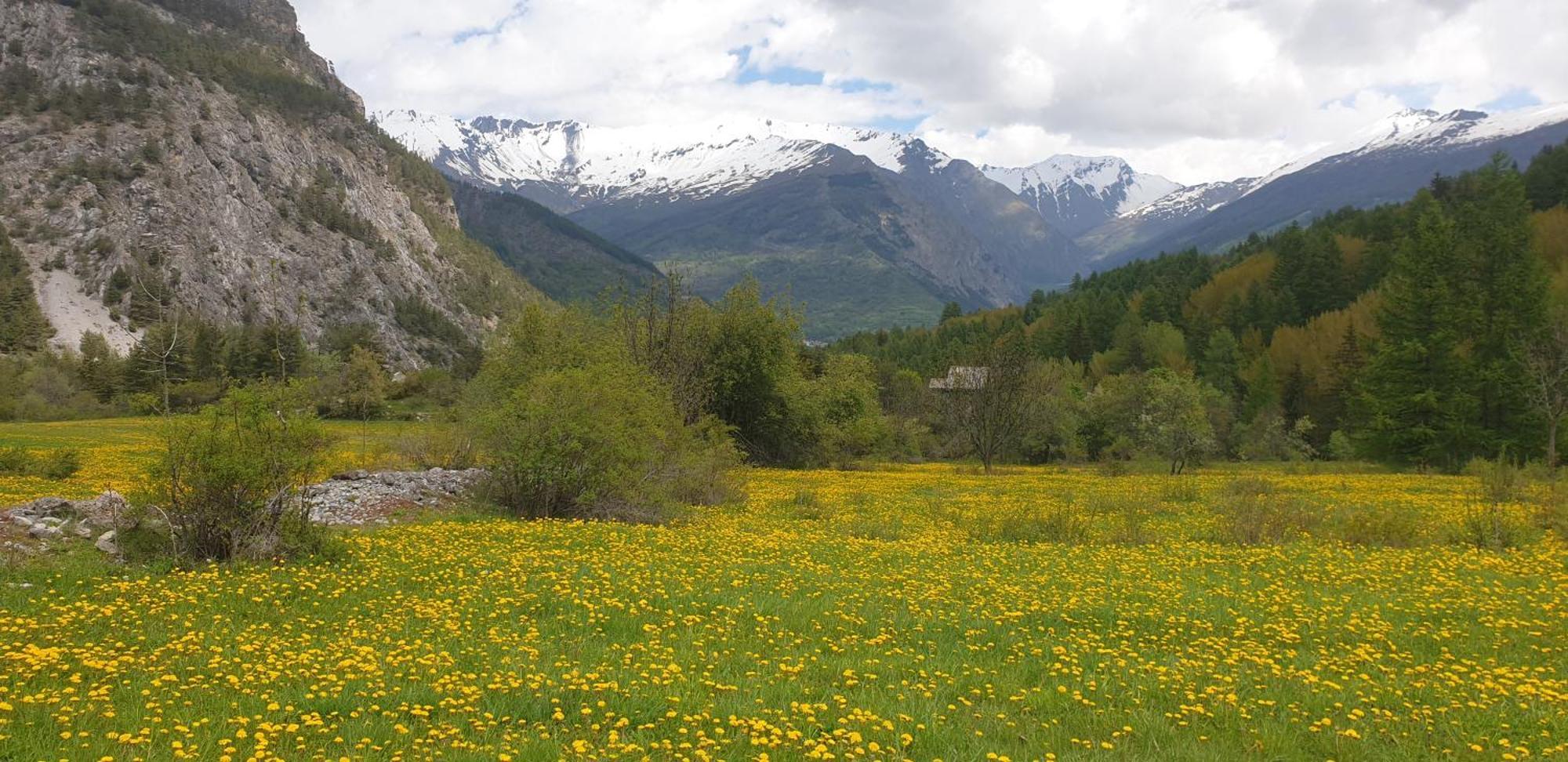 Casa Agnes Lejlighed Bardonecchia Eksteriør billede